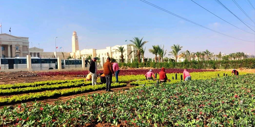 أعمال اللاندسكيب — زراعة